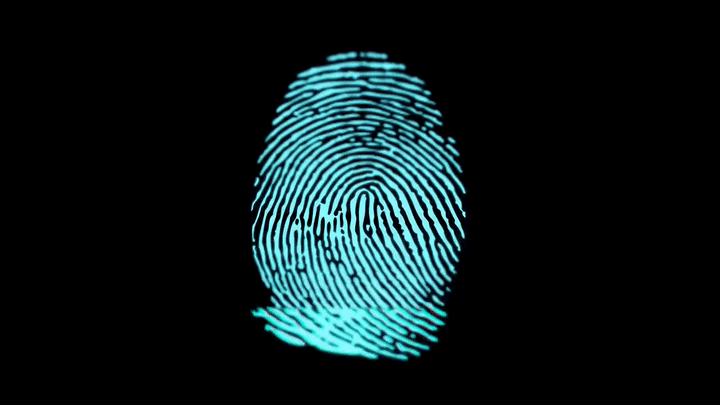 Digital Scan